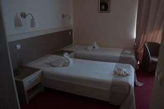Курортные отели Diana Resort Бэиле-Еркулане Улучшенный двухместный номер Делюкс с 1 кроватью или 2 отдельными кроватями-4